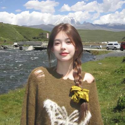 阿基里斯与龟